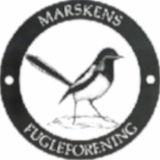 marsken