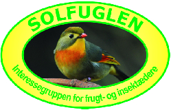 solfuglen